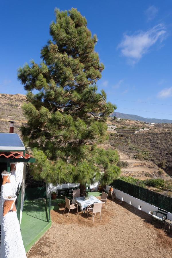 La Zarza Rural Experience By Sunkeyrents Βίλα Σάντα Κρουζ Τενερίφης Εξωτερικό φωτογραφία